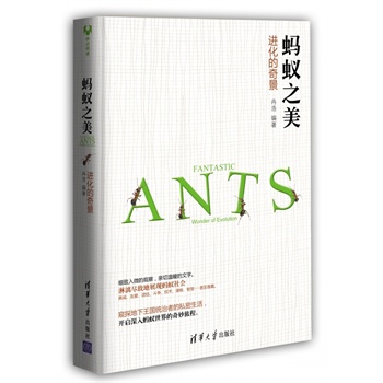 蚂蚁之美:进化的奇景