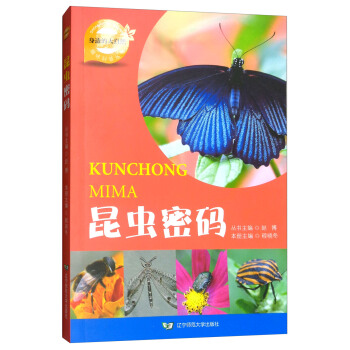 昆虫密码/身边的大自然趣味科普丛书