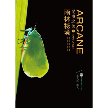 昆虫之美2：雨林秘境