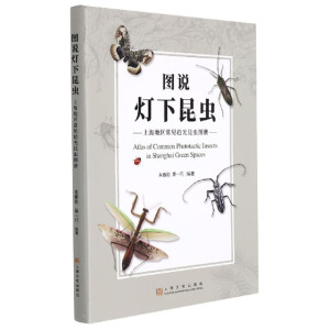 图说灯下昆虫