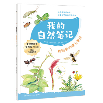  我的自然笔记·校园里的蚜虫餐厅