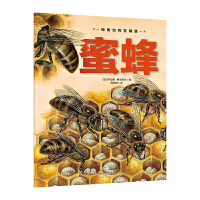 神奇动物在哪里-蜜蜂