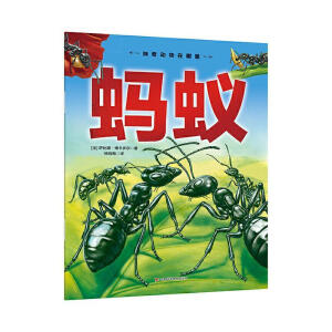 神奇动物在哪里-蚂蚁