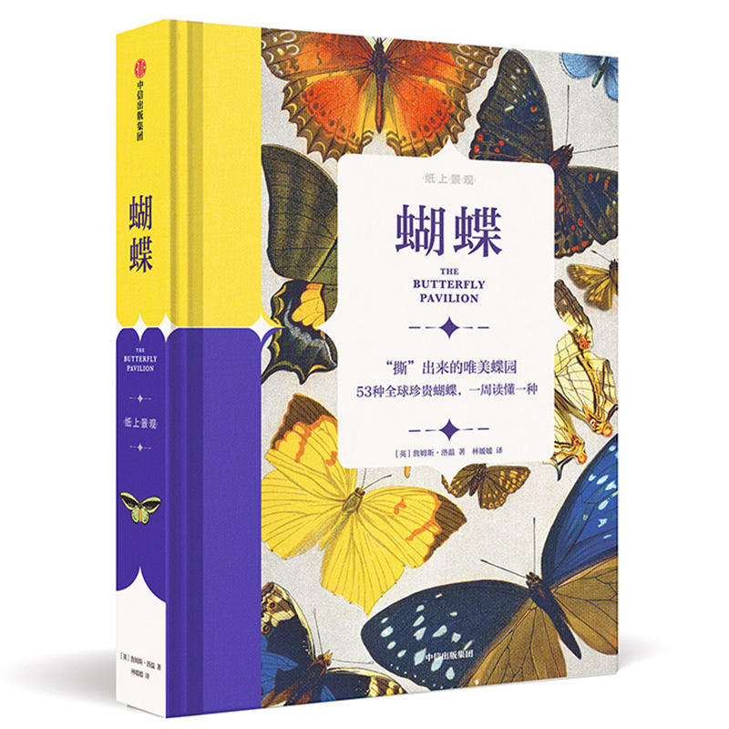 纸上景观：蝴蝶