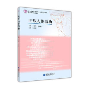 正常人体结构（彩色版）