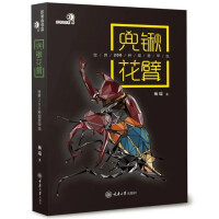 兜锹花臂世界：200种观赏甲虫