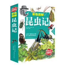 彩色图解昆虫记