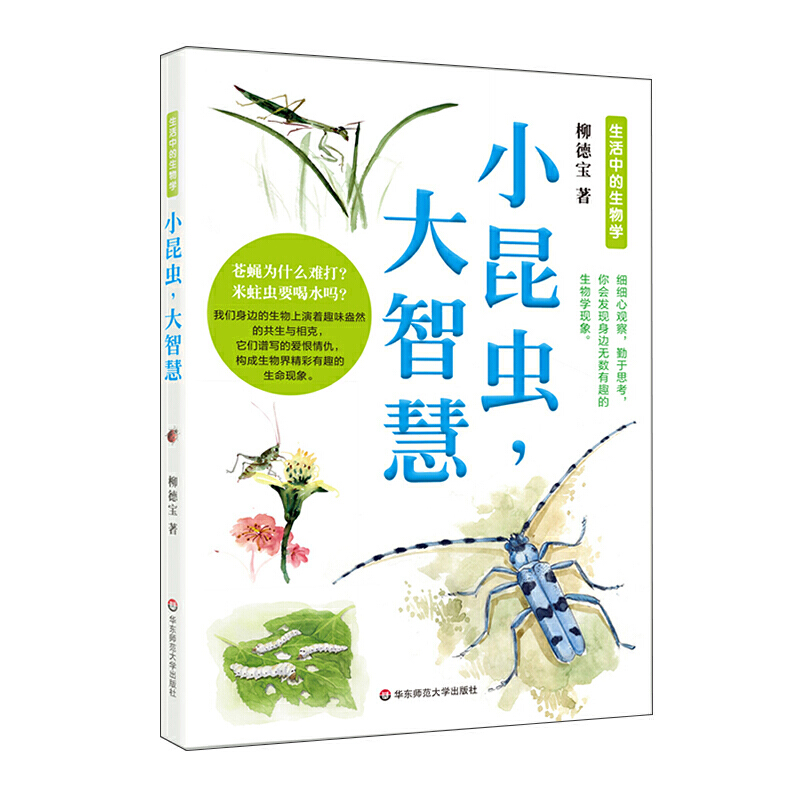 小昆虫，大智慧