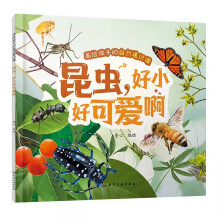 画给孩子的自然通识课--昆虫，好小好可爱啊