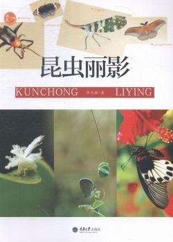 昆虫丽影