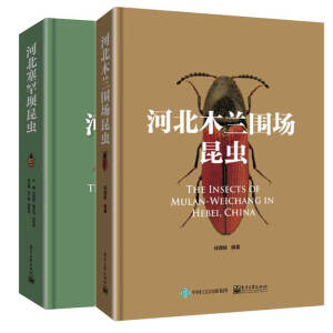 河北木兰围场昆虫