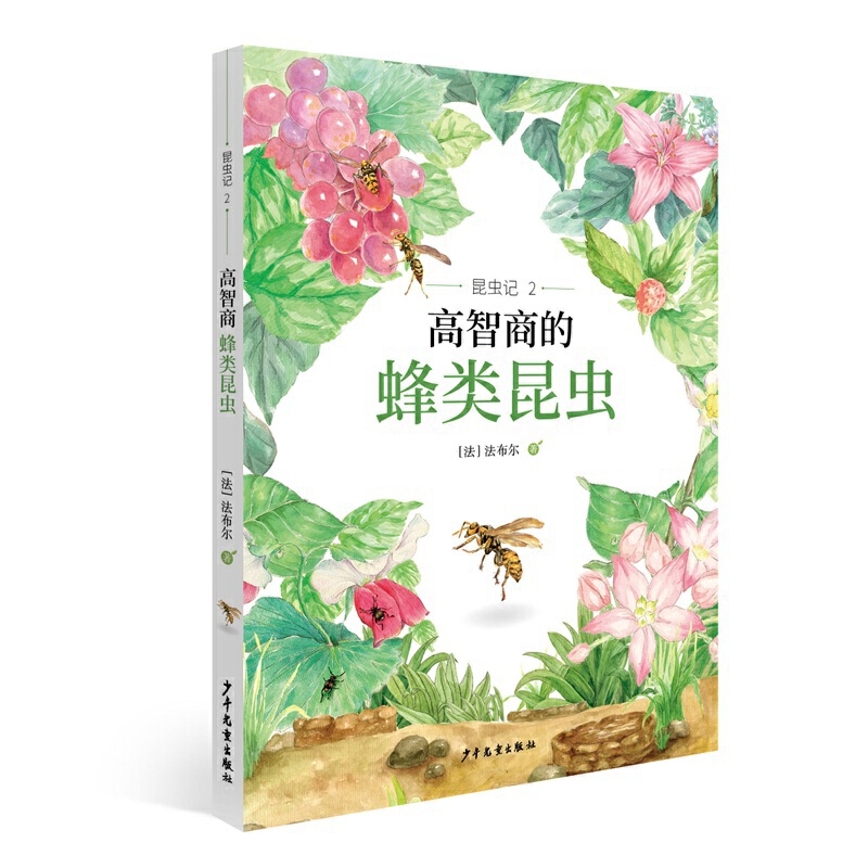 昆虫记2 高智商的蜂类昆虫