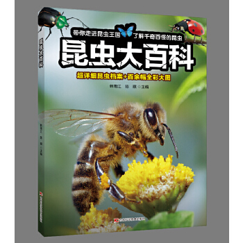  昆虫大百科 【大开本】昆虫大百科全书 超详细昆虫档案+百余幅全彩大图 了解千奇百怪的昆虫 小学生科普类读物正版介绍关于昆