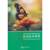 内蒙古自治区阿拉善盟阿拉善左旗昆虫标本图鉴