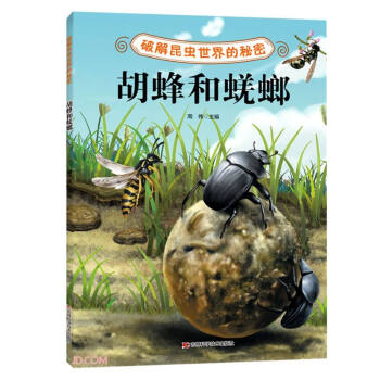 破解昆虫世界的秘密——胡蜂和蜣螂