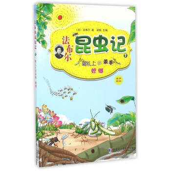 法布尔昆虫记（7）：婚礼上的杀手螳螂