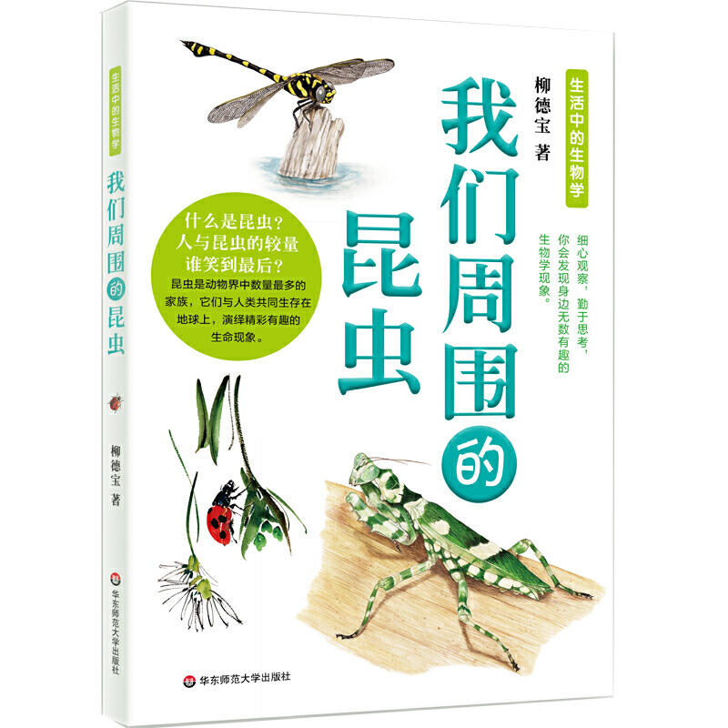 我们周围的昆虫