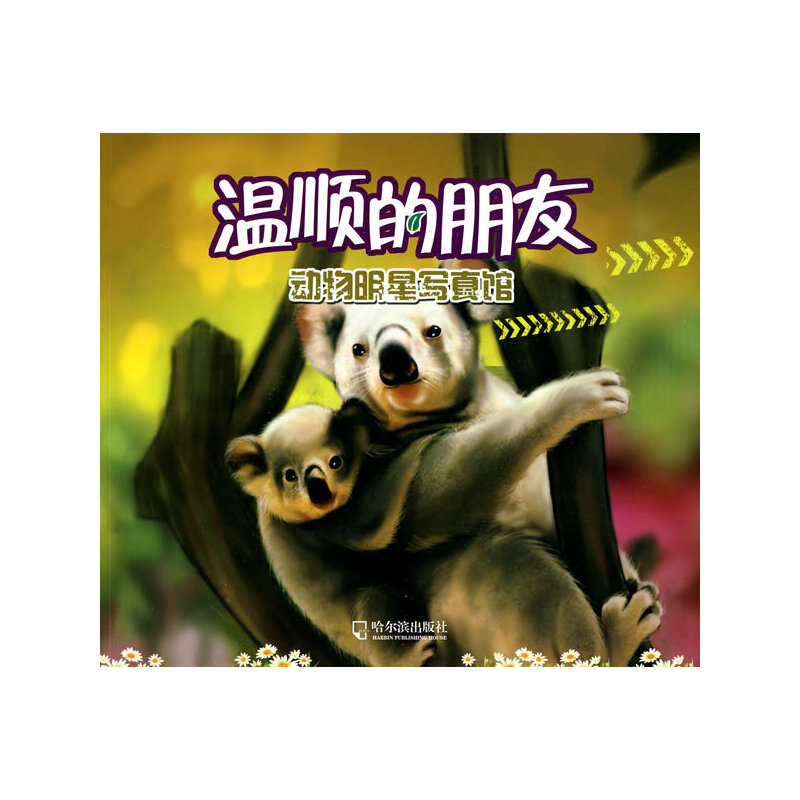 （动物明星写真馆）温顺的朋友