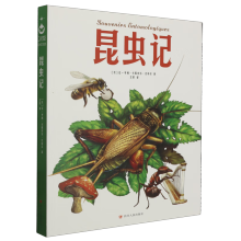  昆虫记 青少年儿童文学读物 (中小学生课外阅读指导丛书) 无障碍阅读 彩插本 少儿6-8-9-12岁四五六年级快乐读书吧