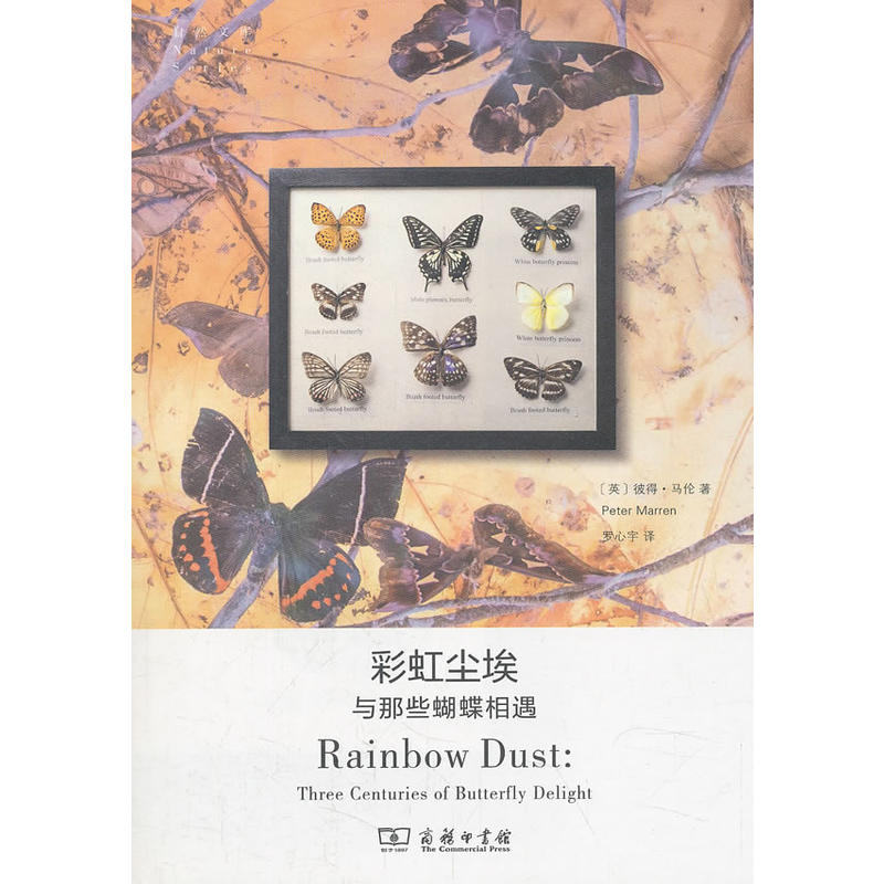 彩虹尘埃——与那些蝴蝶相遇(自然文库)