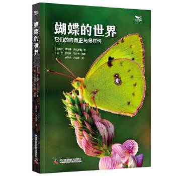 蝴蝶的世界