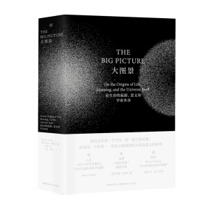 大图景（论生命的起源、意义和宇宙本身 ，跻身Brain Picking的“2016年最优秀科学读物”）