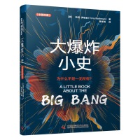 大爆炸小史