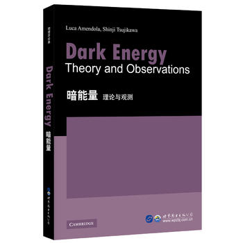 暗能量理论与观测