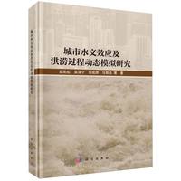 城市水文效应及洪涝过程动态模拟研究