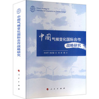 中国气候变化国际合作战略研究