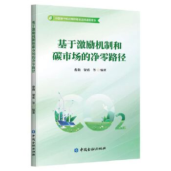  基于激励机制和碳市场的净零路径