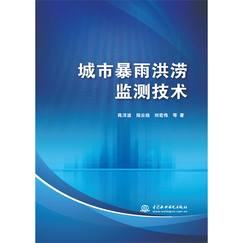 城市暴雨洪涝监测技术