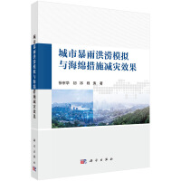 城市暴雨洪涝模拟与海绵措施减灾效果
