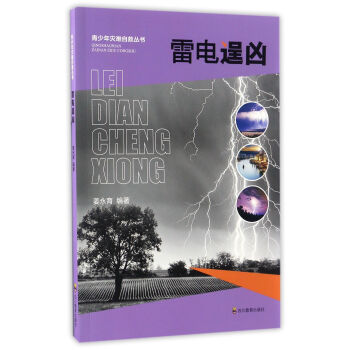 雷电逞凶/青少年灾难自救丛书