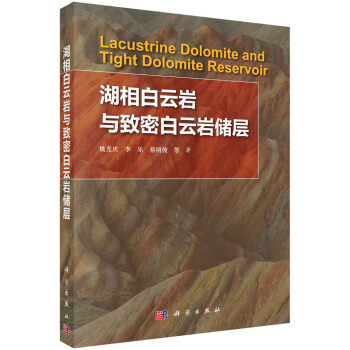 湖相白云岩与致密白云岩储层