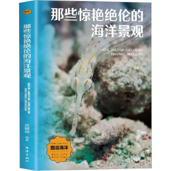  那些惊艳绝伦的海洋景观