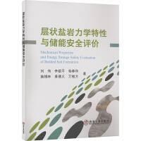 层状盐岩力学特性与储能安全评价