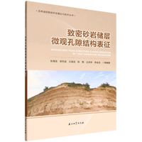致密砂岩储层微观孔隙结构表征