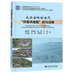 大兴安岭古生代“洋板块地质”研究进展
