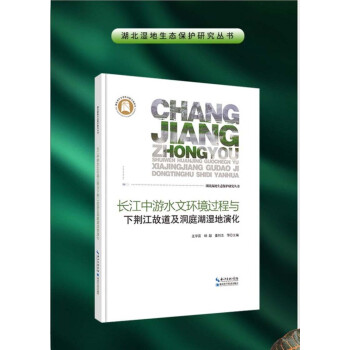 长江中游水文环境过程与下荆江故道及洞庭湖湿地演化(精)/湖北湿地生态保护研究丛书