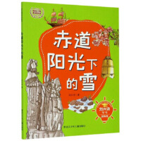 赤道阳光下的雪