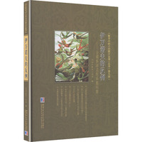  伊万诺夫的反例:分圆多项式的系数问题