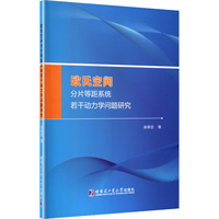 欧氏空间分片等距系统若干动力学问题研究