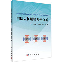 自适应扩展等几何分析