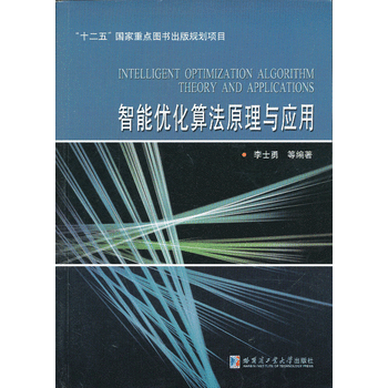 智能优化算法原理与应用