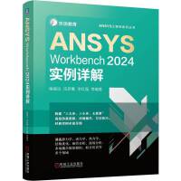 ANSYS Workbench 2024实例详解
