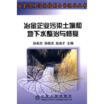 固体物理简明教程（第二版）