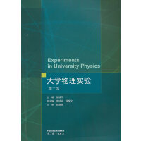 大学物理实验(第2版)