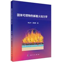固体可燃物热解着火动力学