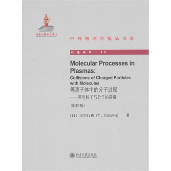 等离子体中的分子过程——带电粒子与分子的碰撞（影印版）